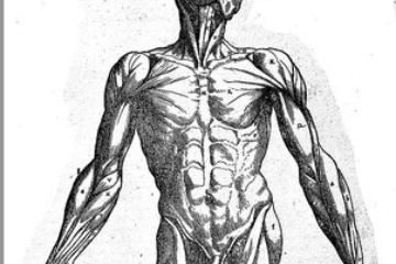 Your Body Is Trying to Tell You Something. Are You Listening?