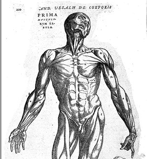 You are currently viewing Your Body Is Trying to Tell You Something. Are You Listening?